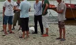 陕西安康新闻爆料,聚焦民生热点，揭示社会现象